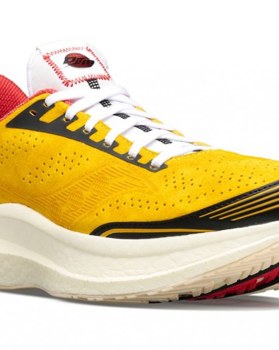 Saucony Diet Starts Monday Endorphin Pro Multicolor Men