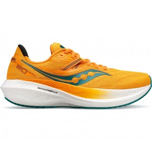 Saucony Triumph 20 Gold Men